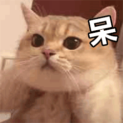 点击在新窗口中浏览原图
CTRL+鼠标滚轮放大或缩小