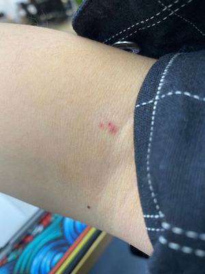 ������´��������ԭͼCTRL+�����ַŴ����С