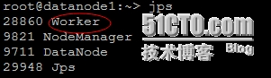 点击在新窗口中浏览原图
CTRL+鼠标滚轮放大或缩小