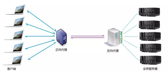 点击在新窗口中浏览原图
CTRL+鼠标滚轮放大或缩小